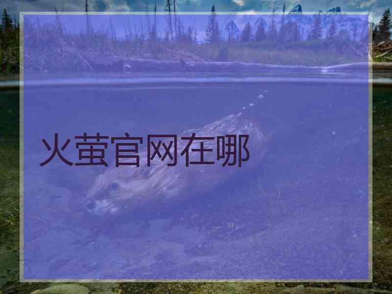 火萤官网在哪 火萤官网在哪