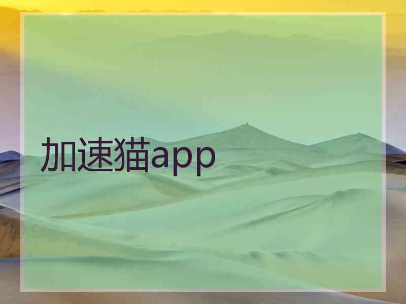 加速猫app 加速猫app
