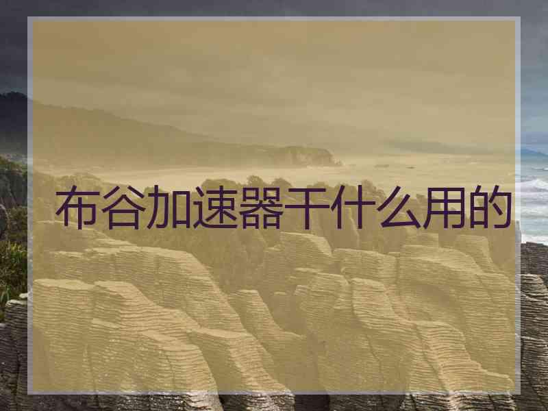 布谷加速器干什么用的