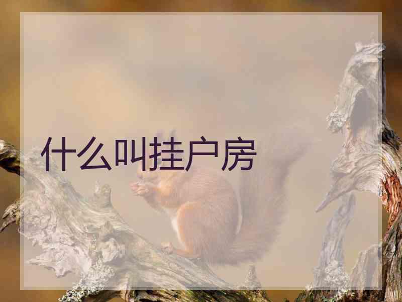 什么叫挂户房 什么叫挂户房