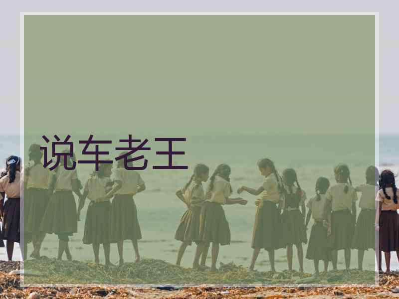 说车老王 说车老王