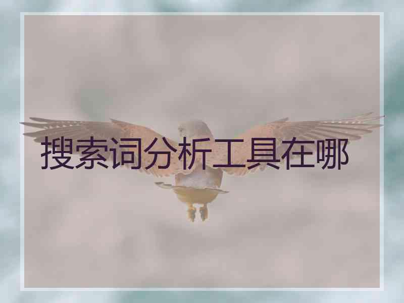 搜索词分析工具在哪 搜索词分析工具在哪