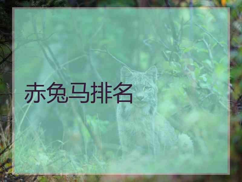 赤兔马排名 赤兔马排名