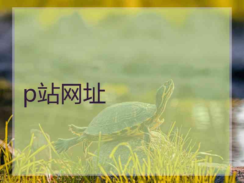 p站网址