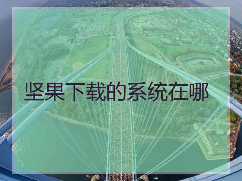 坚果下载的系统在哪