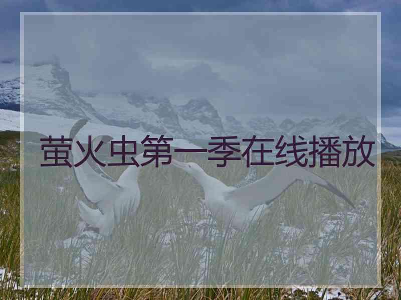 萤火虫第一季在线播放