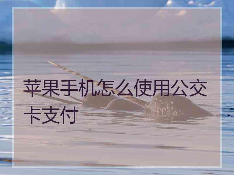 苹果手机怎么使用公交卡支付