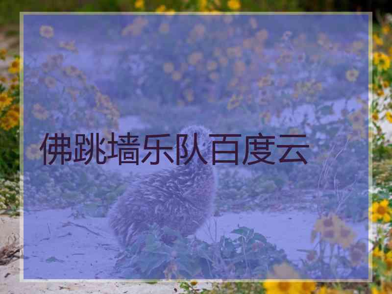 佛跳墙乐队百度云