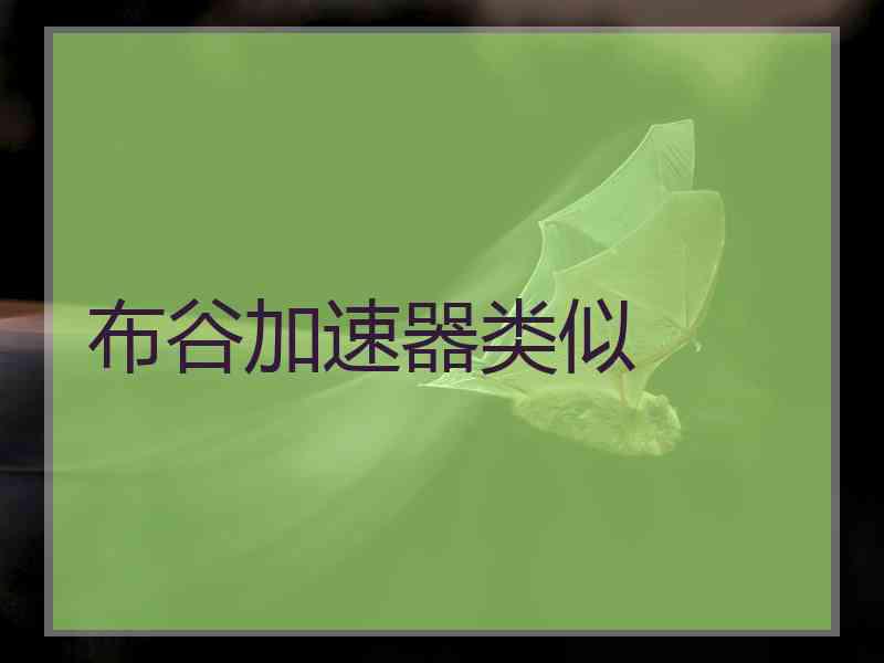 布谷加速器类似