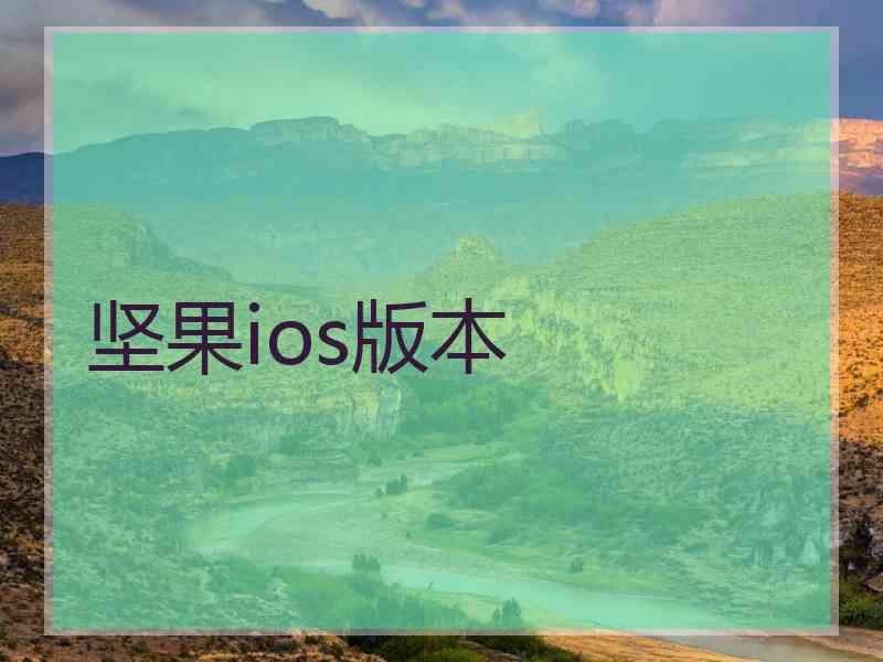 坚果ios版本