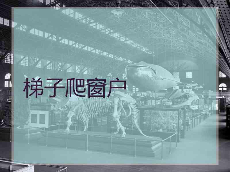 梯子爬窗户