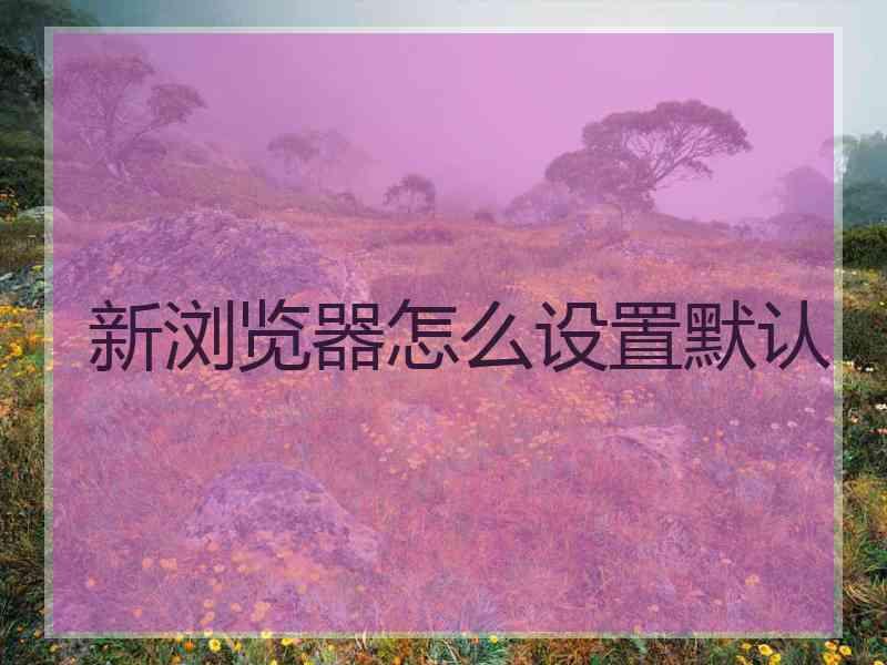新浏览器怎么设置默认