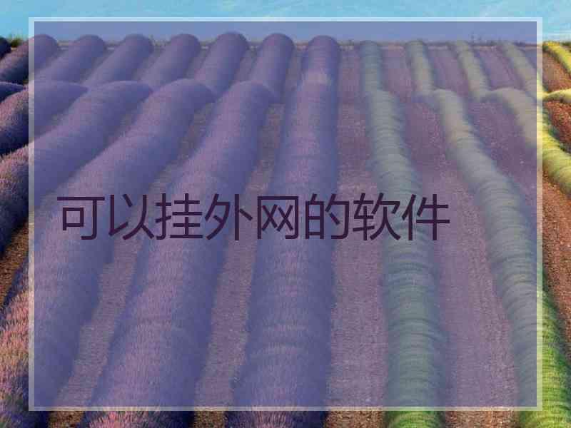 可以挂外网的软件