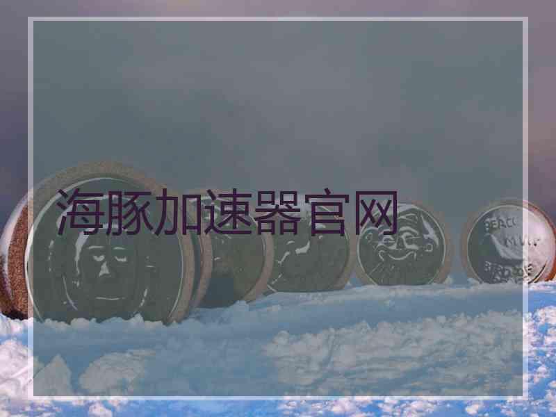 海豚加速器官网