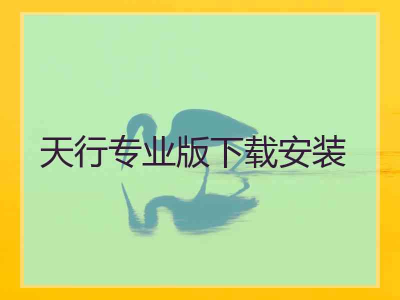 天行专业版下载安装