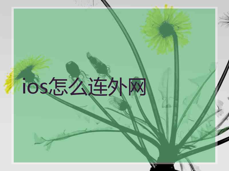 ios怎么连外网