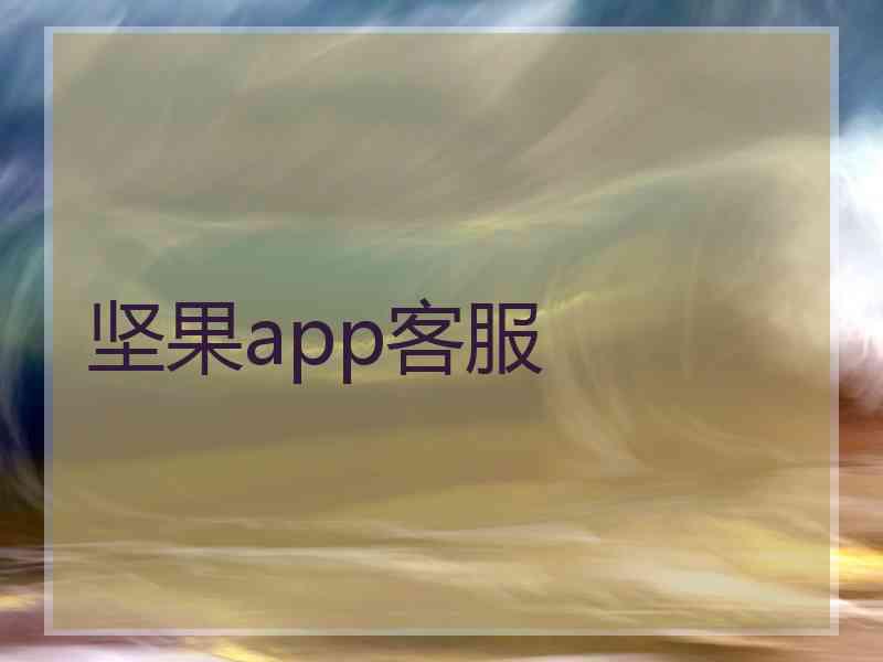 坚果app客服