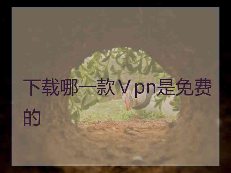 下载哪一款Ⅴpn是免费的