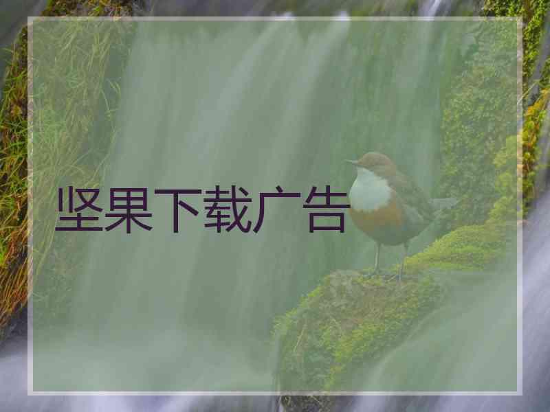坚果下载广告