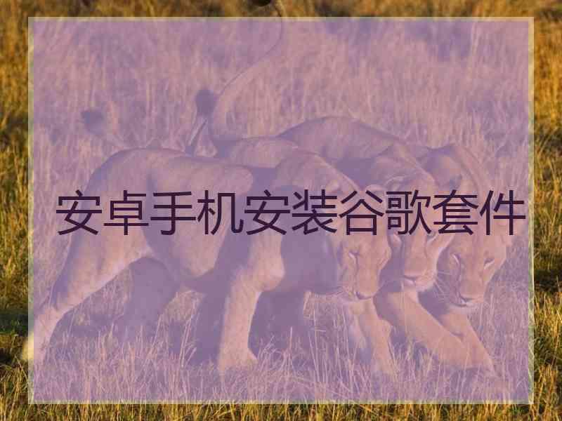 安卓手机安装谷歌套件