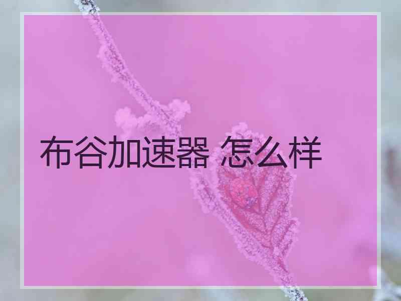 布谷加速器 怎么样