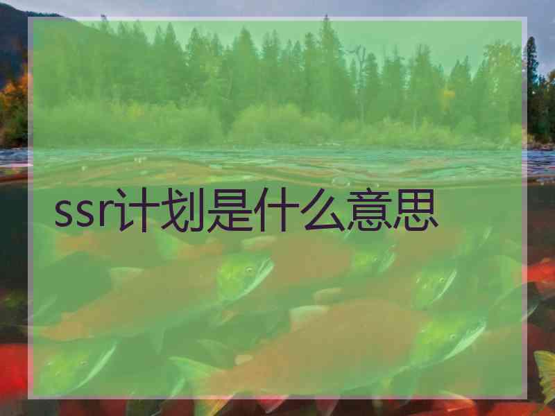 ssr计划是什么意思