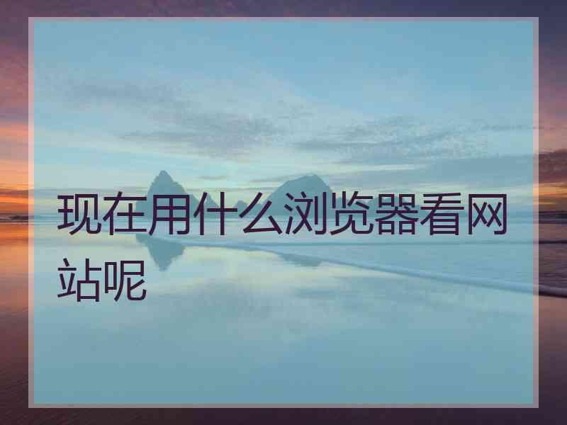 现在用什么浏览器看网站呢