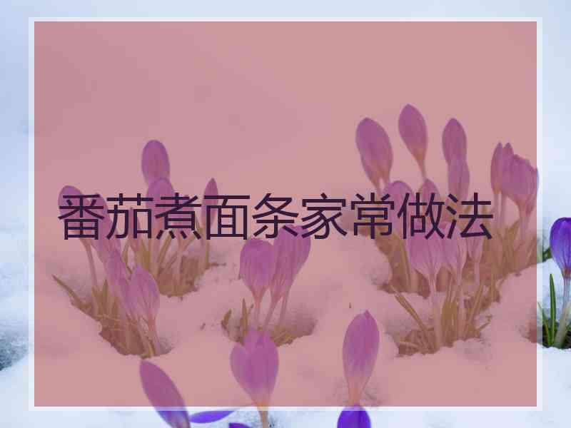 番茄煮面条家常做法