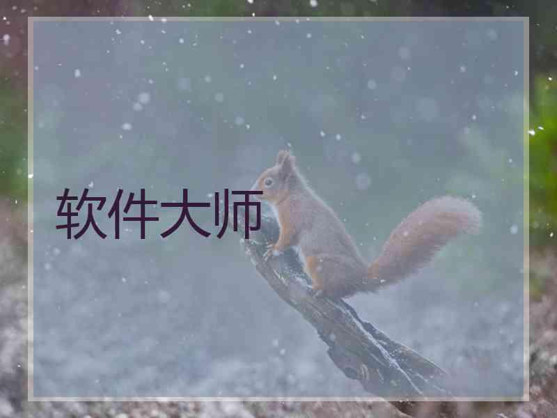软件大师