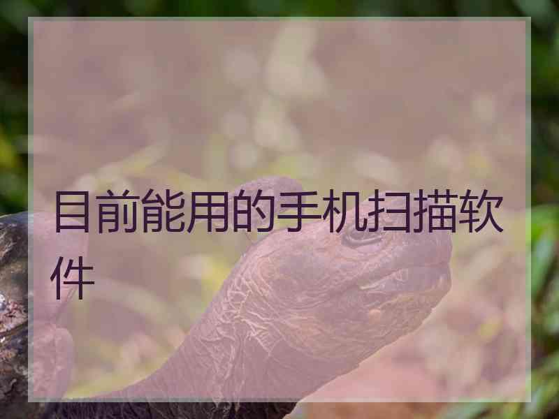 目前能用的手机扫描软件