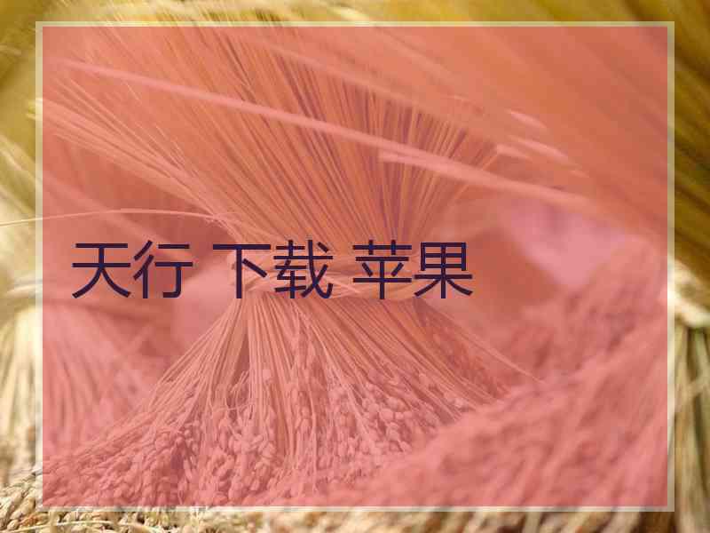 天行 下载 苹果