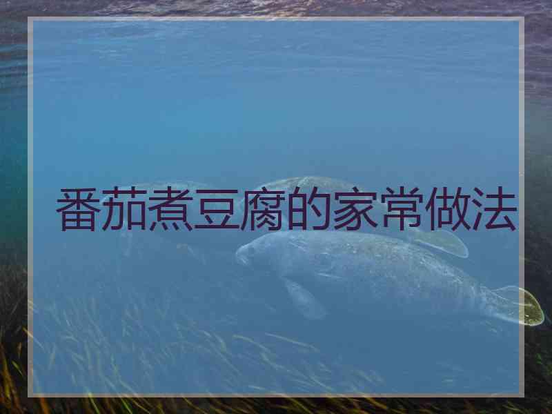 番茄煮豆腐的家常做法