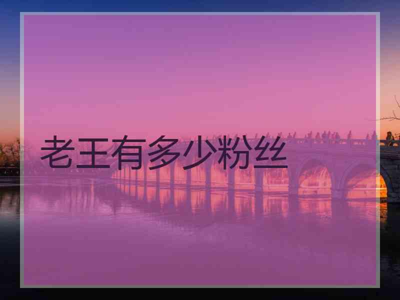 老王有多少粉丝