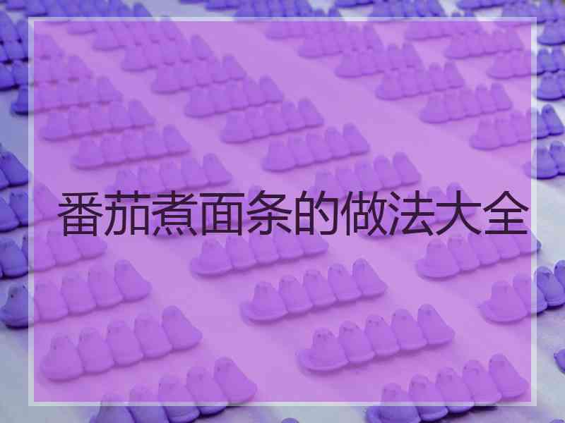 番茄煮面条的做法大全
