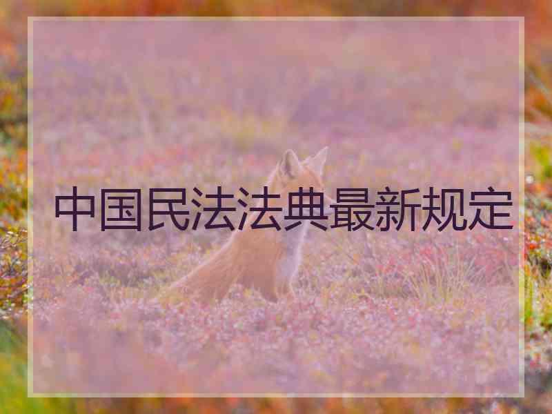 中国民法法典最新规定