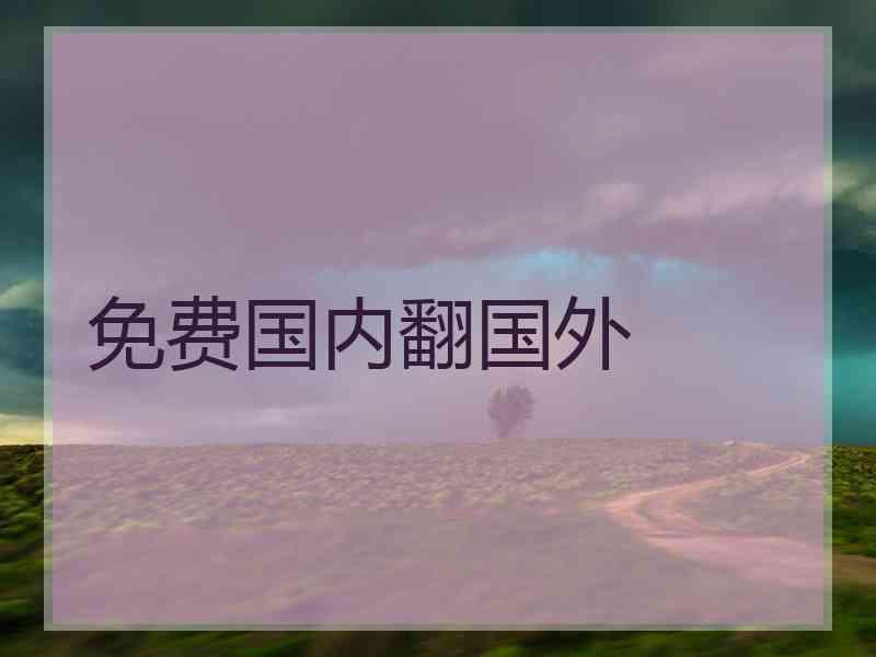 免费国内翻国外