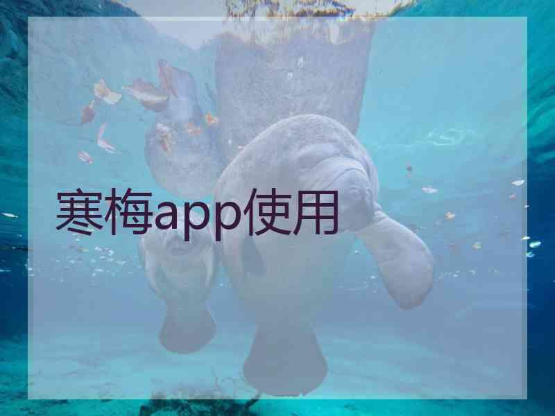 寒梅app使用