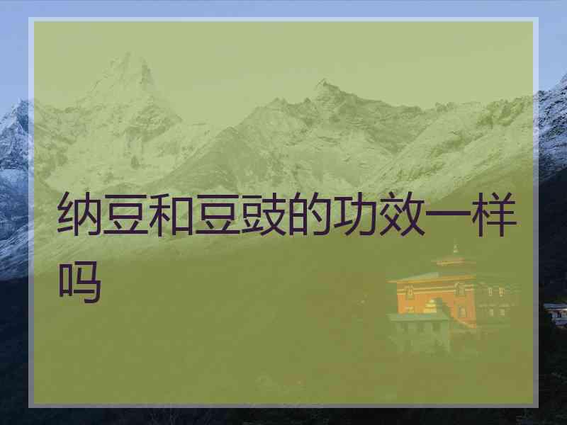 纳豆和豆豉的功效一样吗