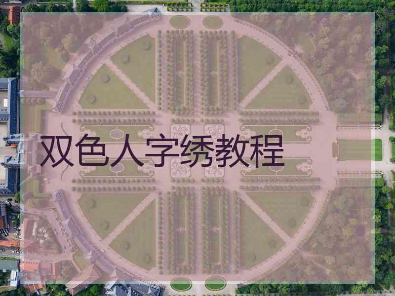 双色人字绣教程