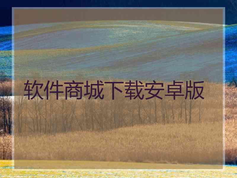 软件商城下载安卓版