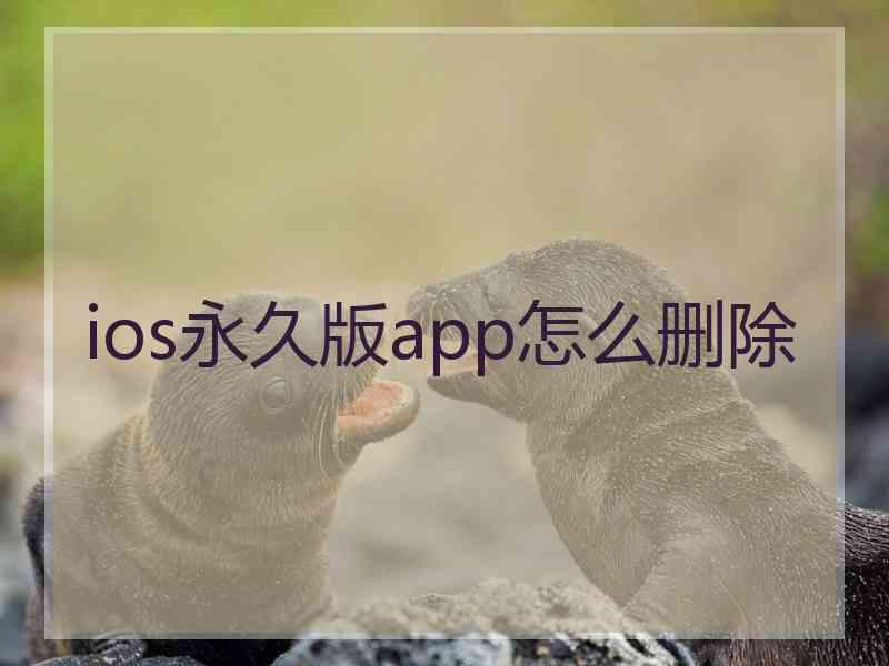 ios永久版app怎么删除
