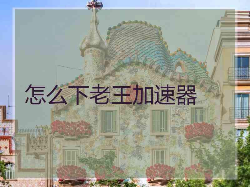 怎么下老王加速器