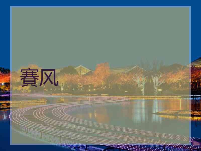 賽风