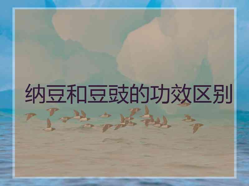 纳豆和豆豉的功效区别