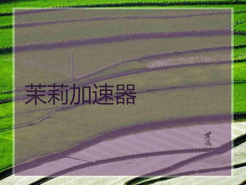 茉莉加速器