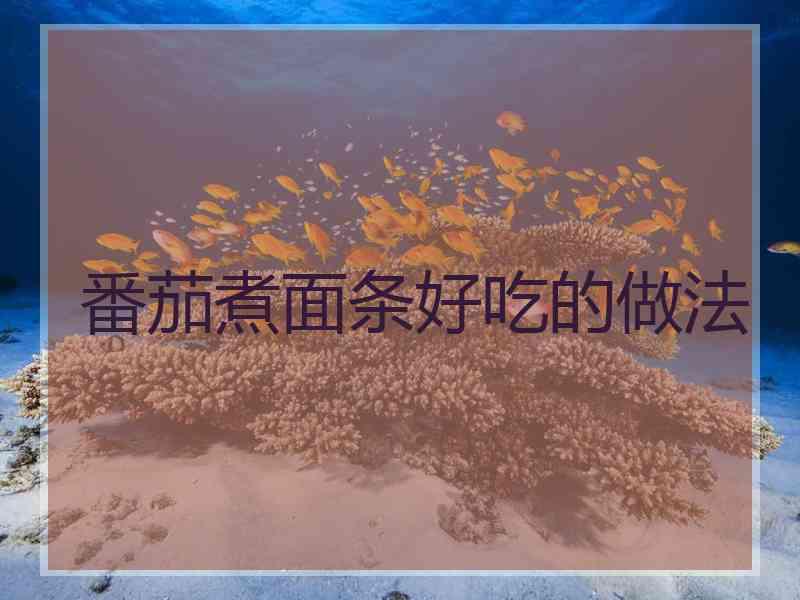 番茄煮面条好吃的做法