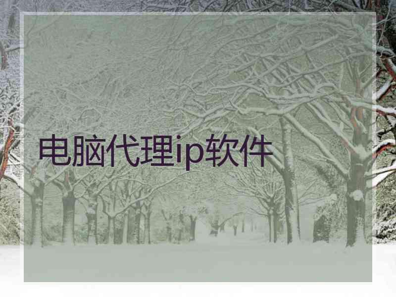 电脑代理ip软件