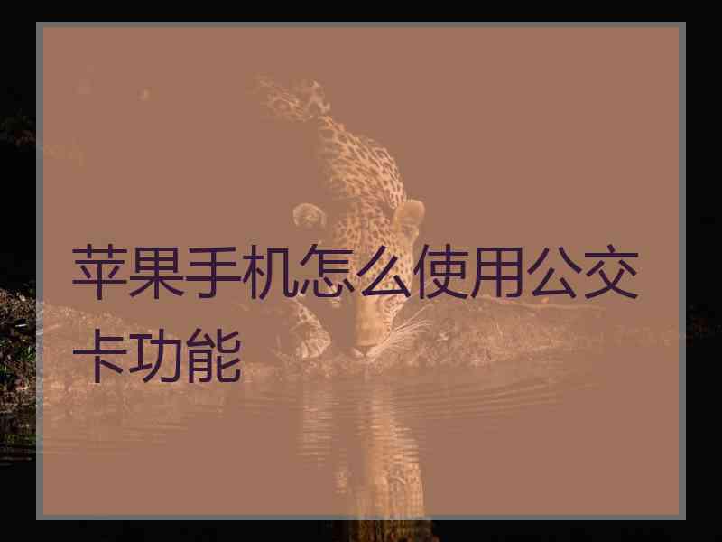 苹果手机怎么使用公交卡功能