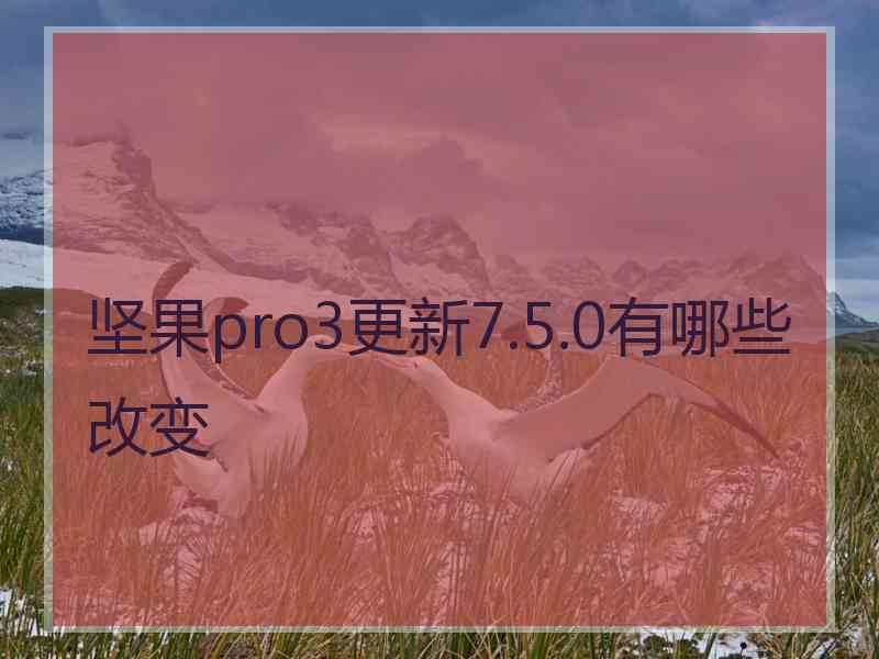 坚果pro3更新7.5.0有哪些改变