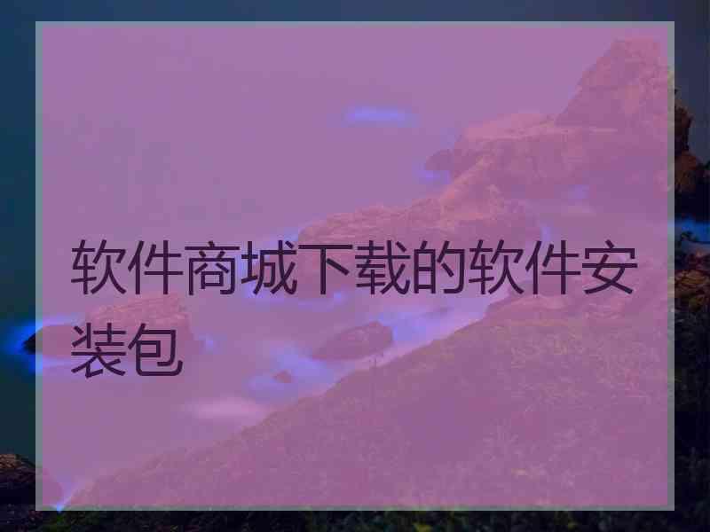 软件商城下载的软件安装包
